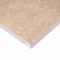 Msi Tierra Beige SAMPLE Porcelain Paver Tile ZOR-LSC-0054-SAM - alternate 4